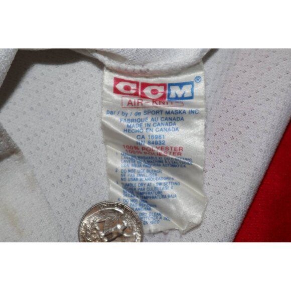 VTG Doug Brown #17 Detroit Red Wings CCM NHL Hockey Jersey Size L Canada Made - Picture 9 of 10